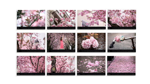 Seidenweich und zartrosa. Japanische Kirschblüten Fotokalender 2022 (Schwarz)