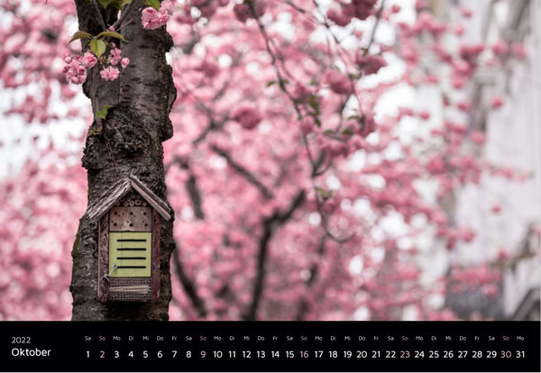 Seidenweich und zartrosa. Japanische Kirschblüten Fotokalender 2022 (Schwarz)