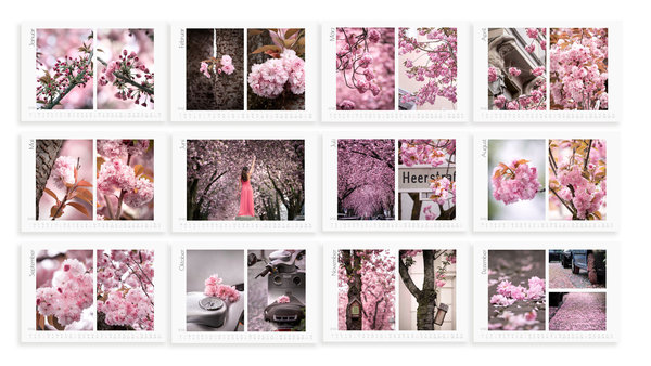 Seidenweich und zartrosa. Japanische Kirschblüten Fotokalender 2022 (Weiß)