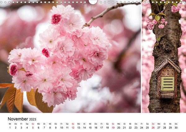 Die Anmut der japanischen Kirschblüten - Kalender 2023 (Wandkalender, quer, 14 Seiten)