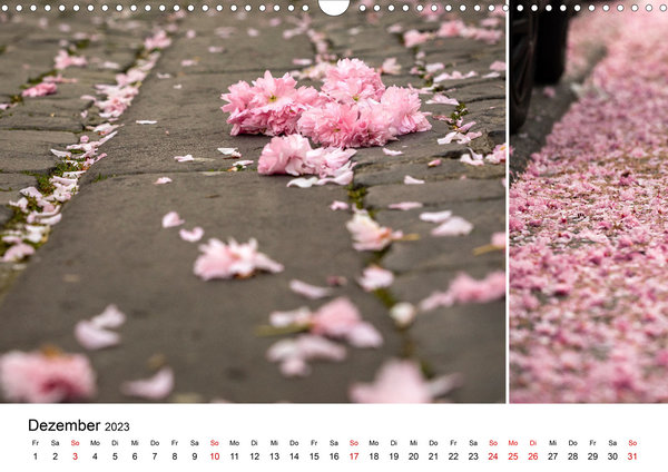 Die Anmut der japanischen Kirschblüten - Kalender 2023 (Wandkalender, quer, 14 Seiten)