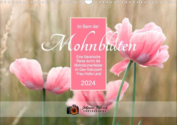 Im Bann der Mohnblüten - Kalender 2024 (Wandkalender, quer, 14 Seiten)